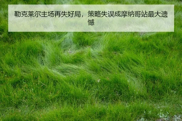 lei-ke-lai-er-zhu-chang-zai-shi-hao-ju-ce-lve-shi-wu-cheng-mo-na-ge-zhan-zui-da-yi-han-2-408.jpg