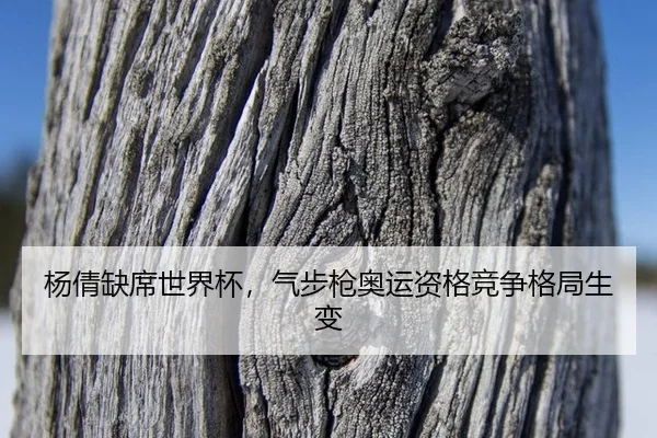 yang-qian-que-xi-shi-jie-bei-qi-bu-qiang-ao-yun-zi-ge-jing-zheng-ge-ju-sheng-bian-3-283.jpg