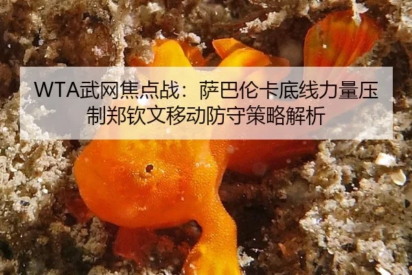 WTA武网焦点战：萨巴伦卡底线力量压制郑钦文移动防守策略解析
