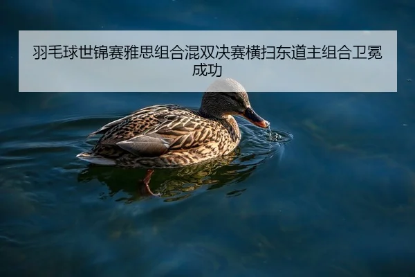 yu-mao-qiu-shi-jin-sai-ya-si-zu-he-hun-shuang-jue-sai-heng-sao-dong-dao-zhu-zu-he-wei-mian-cheng-gong-2-384.jpg