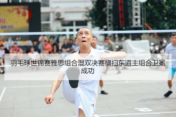 羽毛球世锦赛雅思组合混双决赛横扫东道主组合卫冕成功