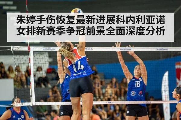 朱婷手伤恢复最新进展科内利亚诺女排新赛季争冠前景全面深度分析